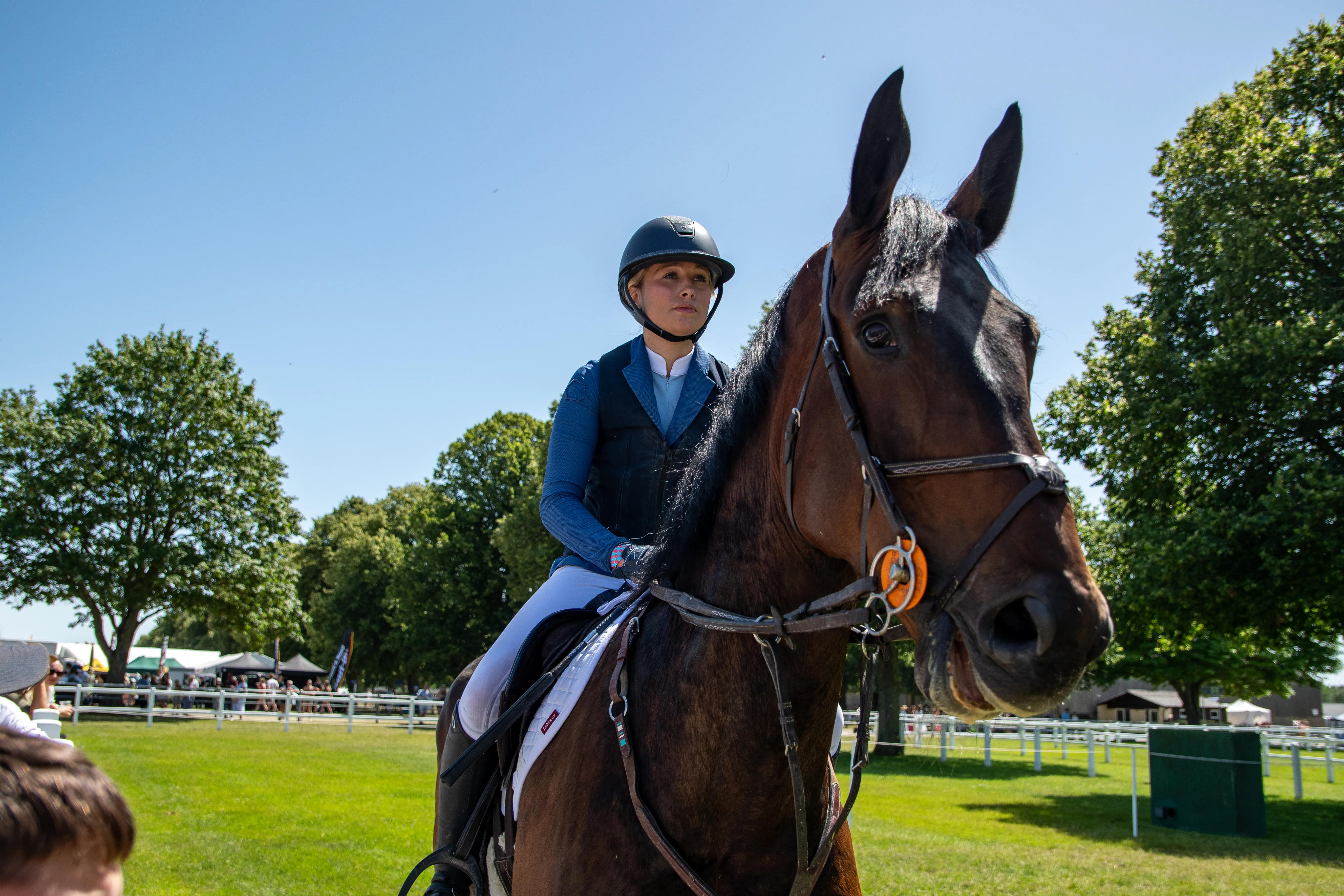 A young rider on a dark horse looking down at the camera, trees behind.