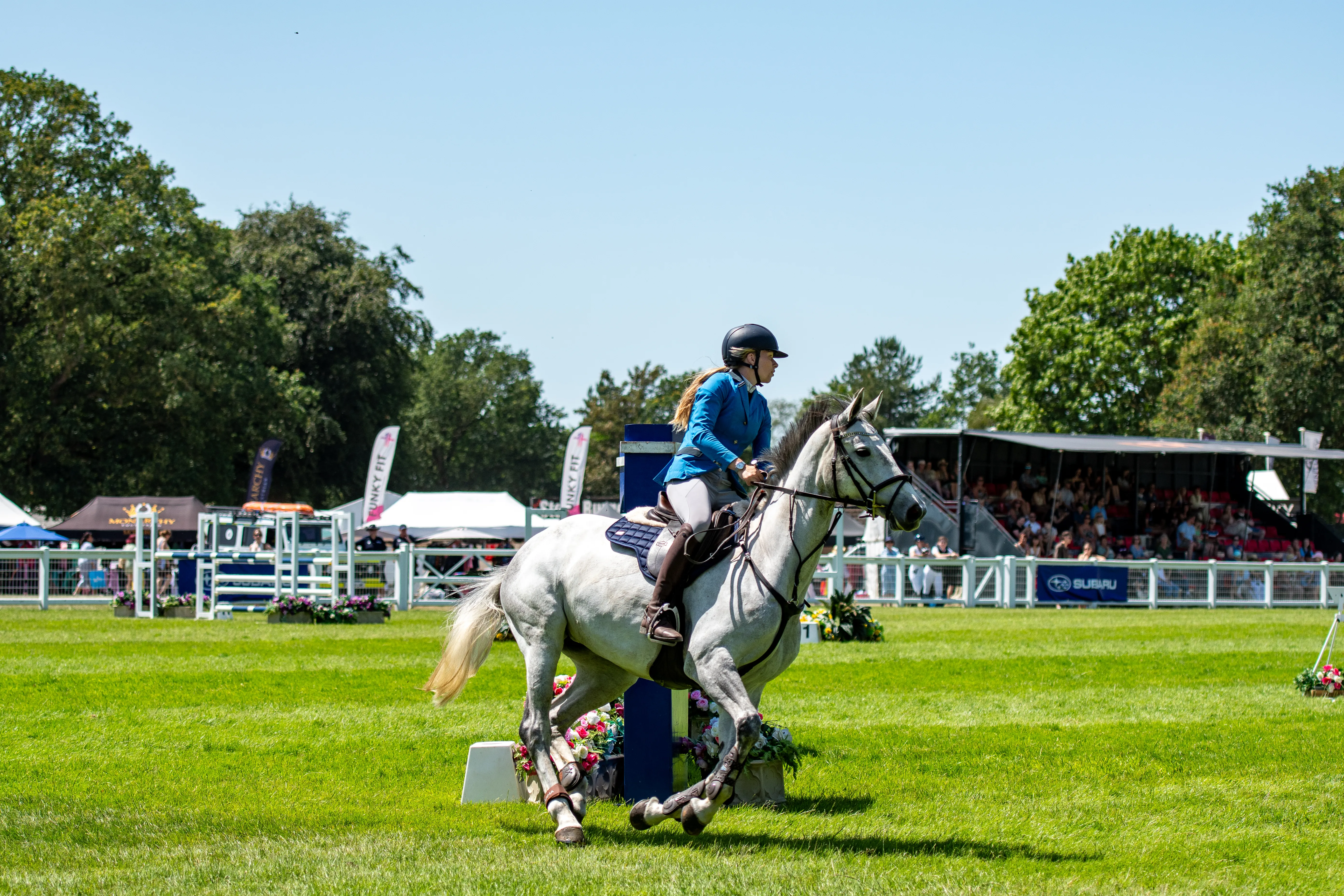 A grey horse mid-jump in front of the main stand.