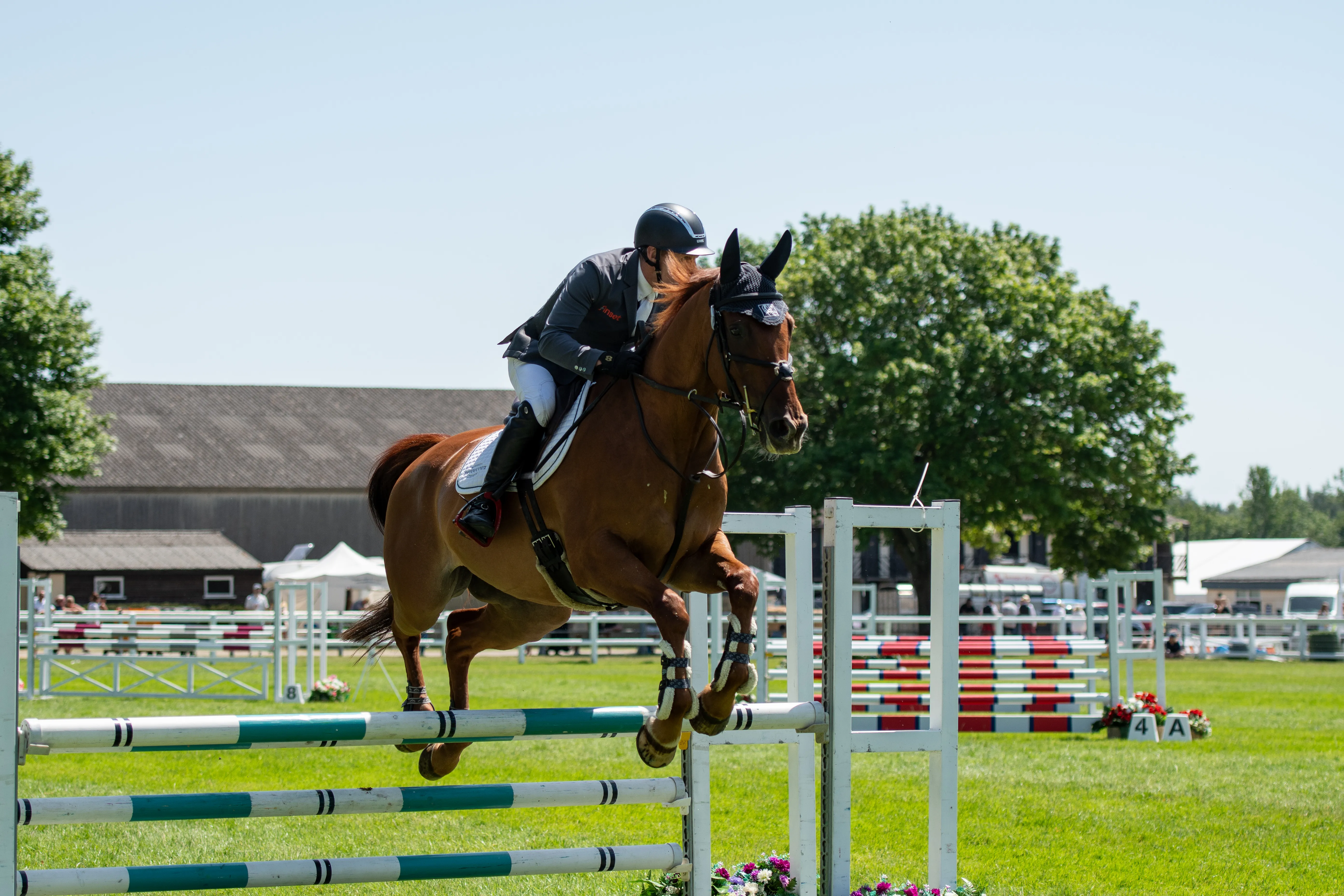 A horse and rider clearing a fence mid-air during the showjumping.