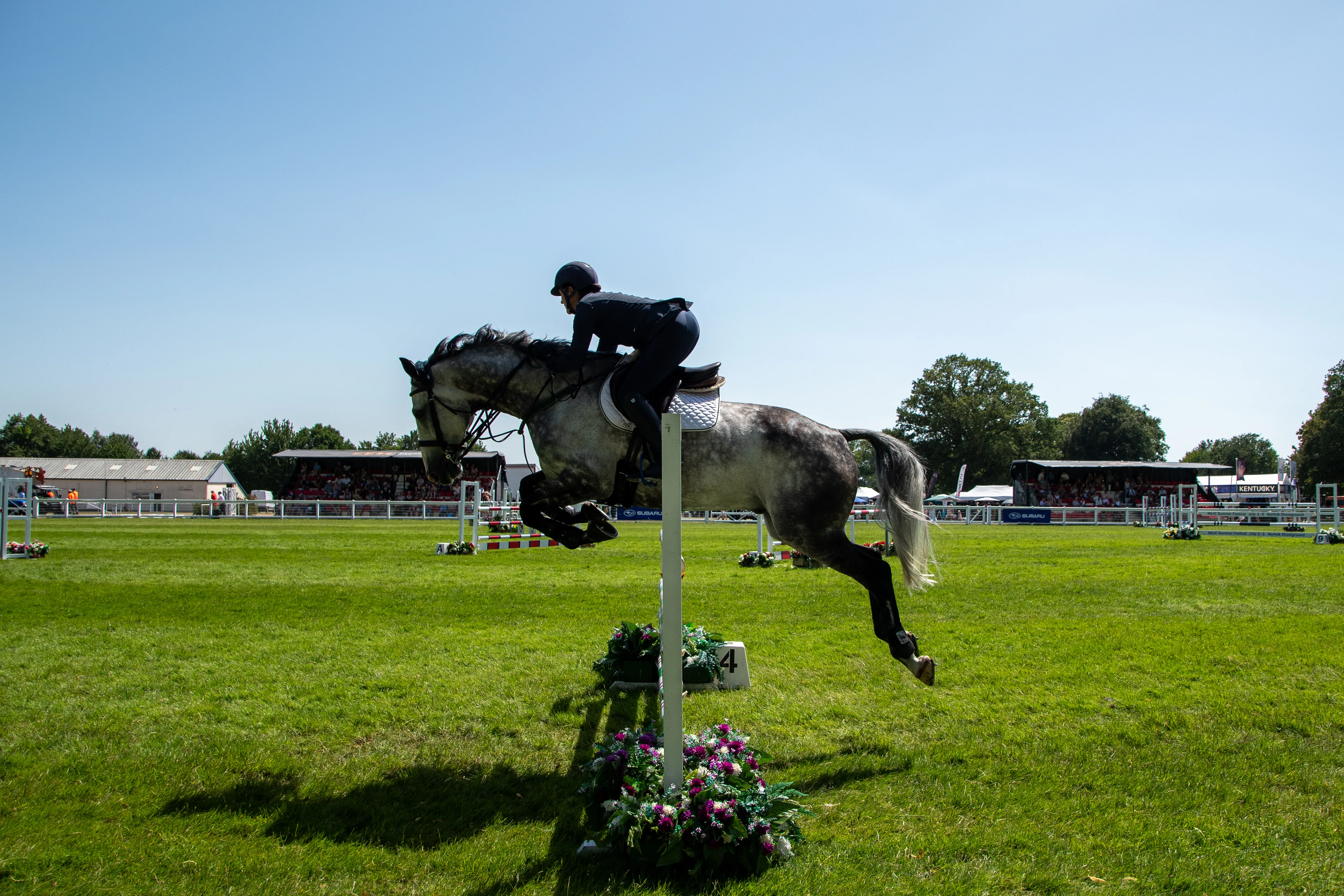 A horse tucking its legs over a wide oxer fence.