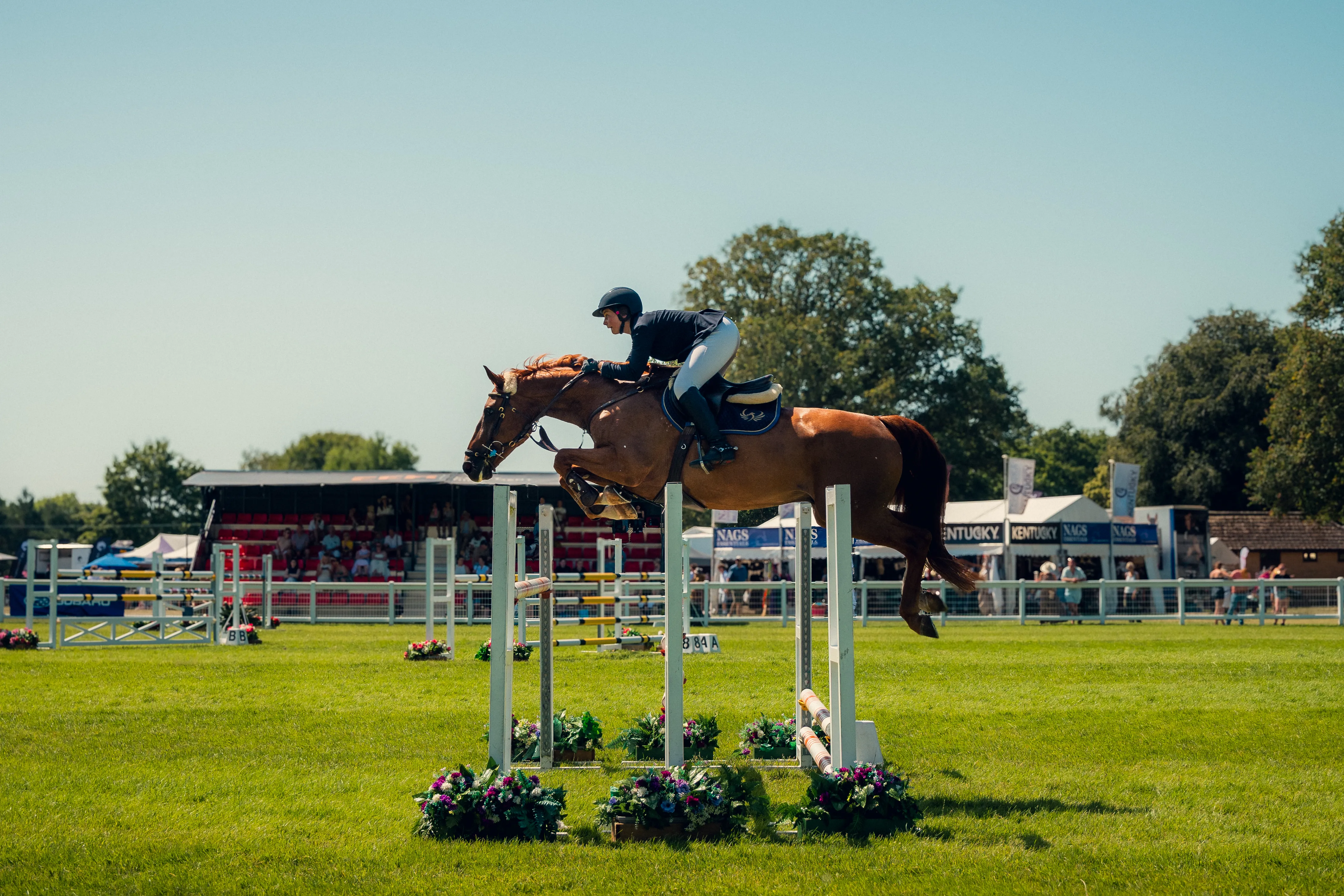 A horse and rider clearing a fence during a showjumping round at a county show.