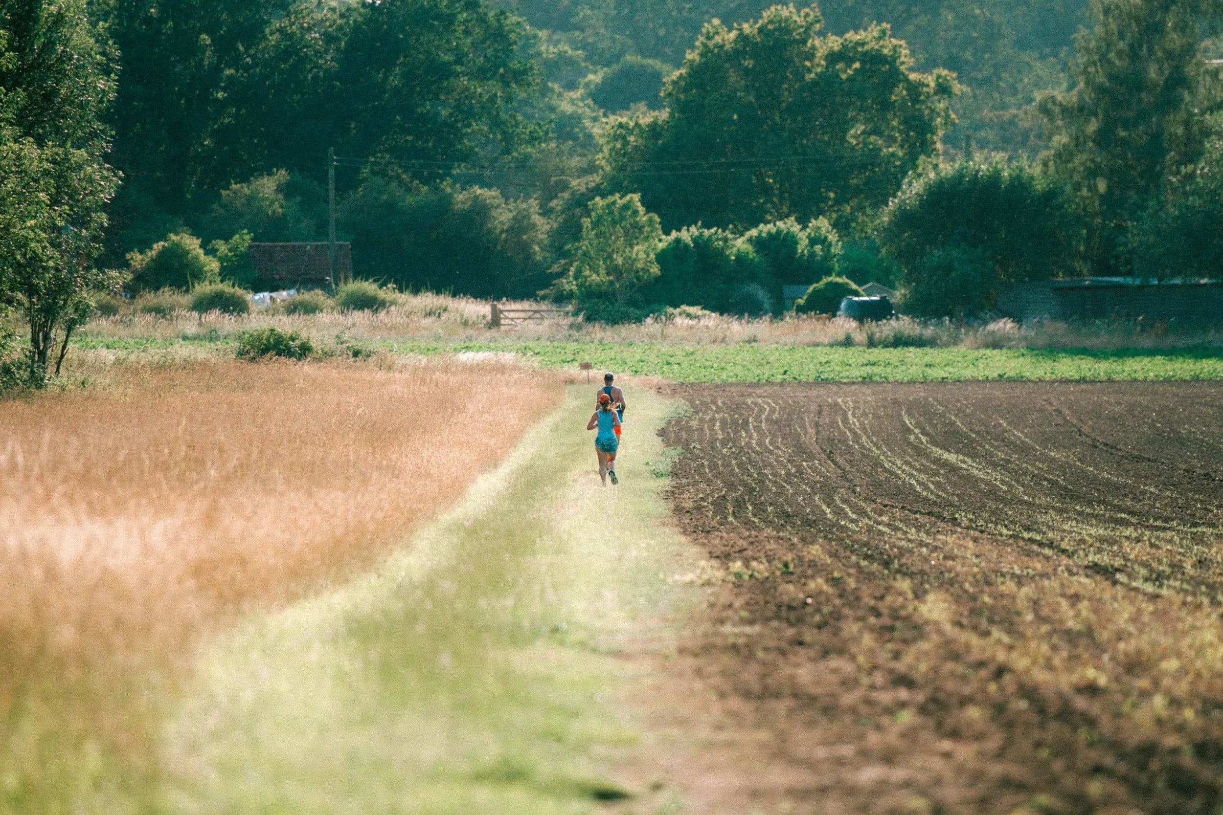 A single runner far down a grass track between a golden field and dark ploughed earth.